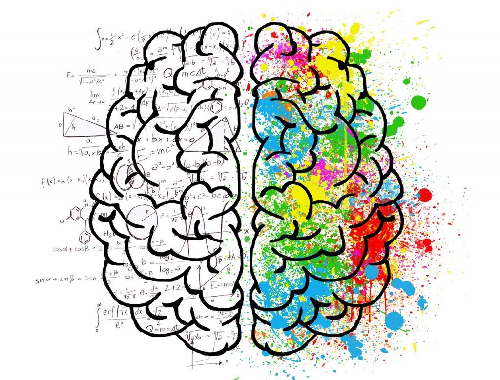 Brain-Graphic-1024x779